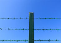 بولي كلوريد الفينيل المغلفة الأسلاك الشائكة سياج الأمن الأخضر على سلسلة ربط السور الأعلى