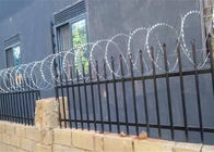 الأسلاك الشائكة المسطحة الشائكة Concertina تستخدم فوق السياج أو الجدار الخرساني
